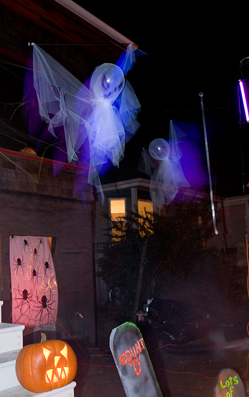 Hallowe'en Photo!