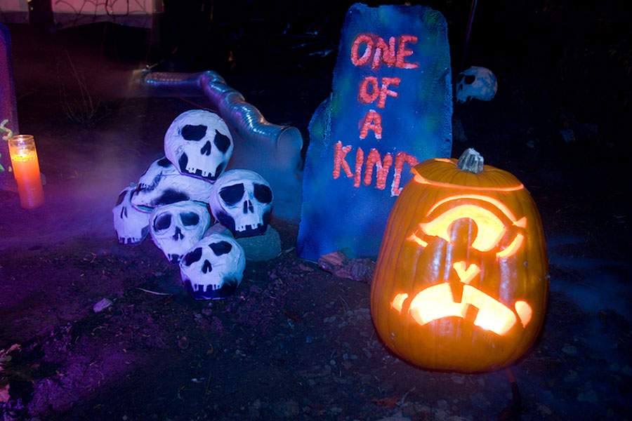 Hallowe'en Photo!